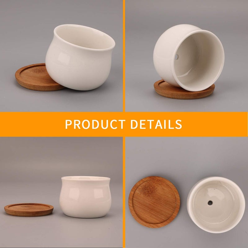 Brajttt Succluent Pots ï¼ŒSmall Flower Pots Planter Pots with Drinage,Ceramic Flowers Pots with Bamboo Tray for Cactus(12 Pack - Image 3